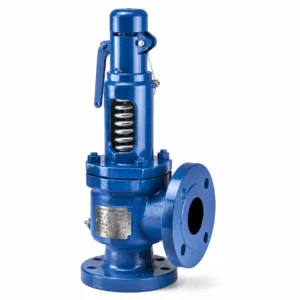 Safety & Pressure Management Valves