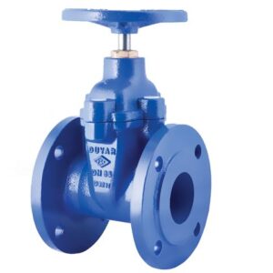 Gate valves