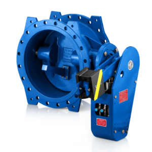Swing Check Valves